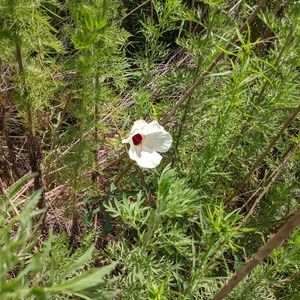 Meet your Posher, Katelyn